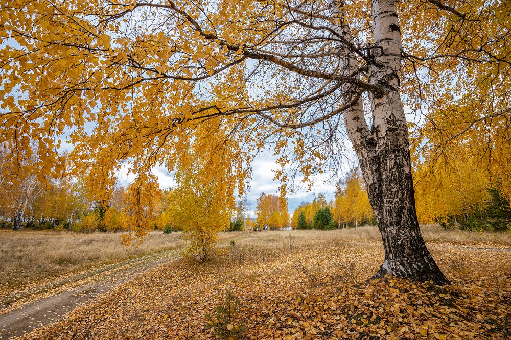 Photograph by Николай Ларионов