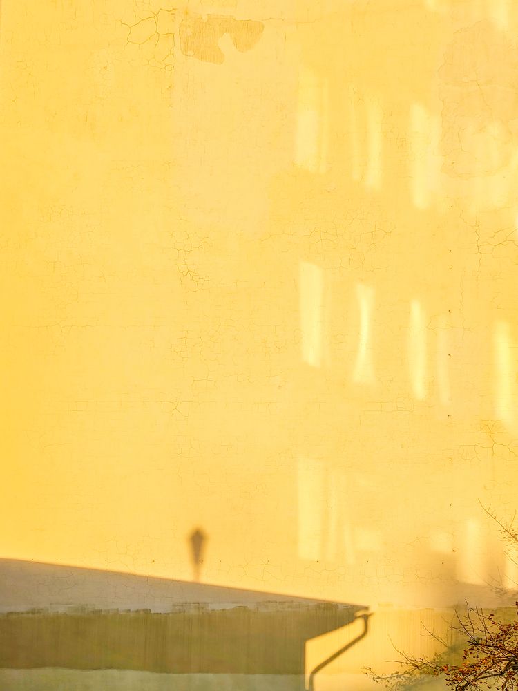 Photograph by Людмила Аксенова