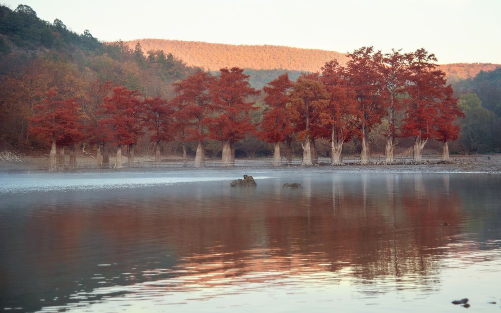 Photograph by Екатерина Рязанова