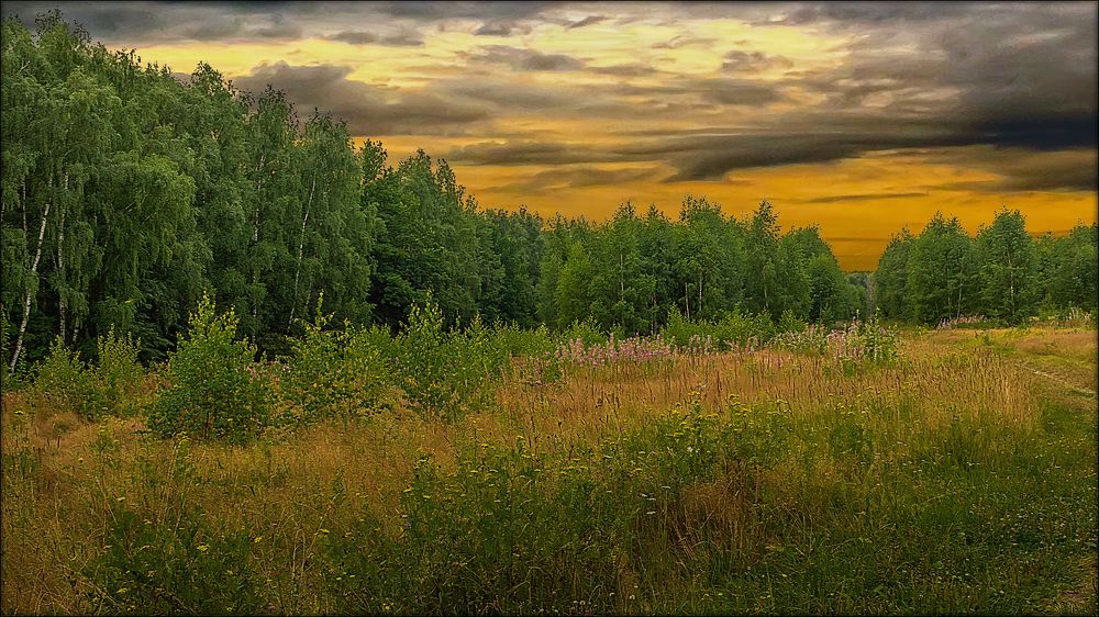 Photograph by Алексей Афонин