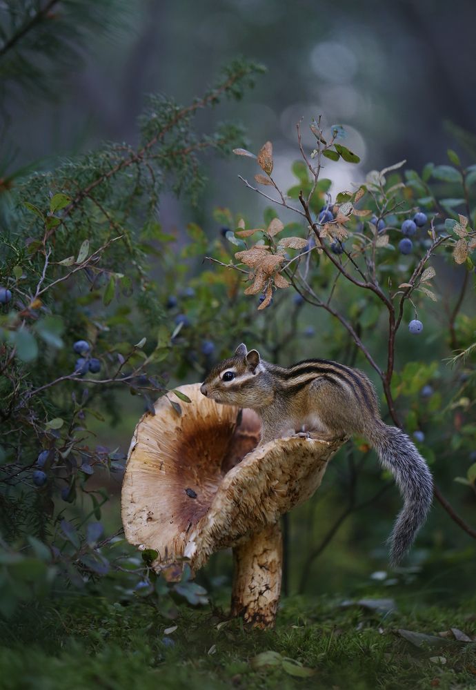 Photograph by Евгения Левина