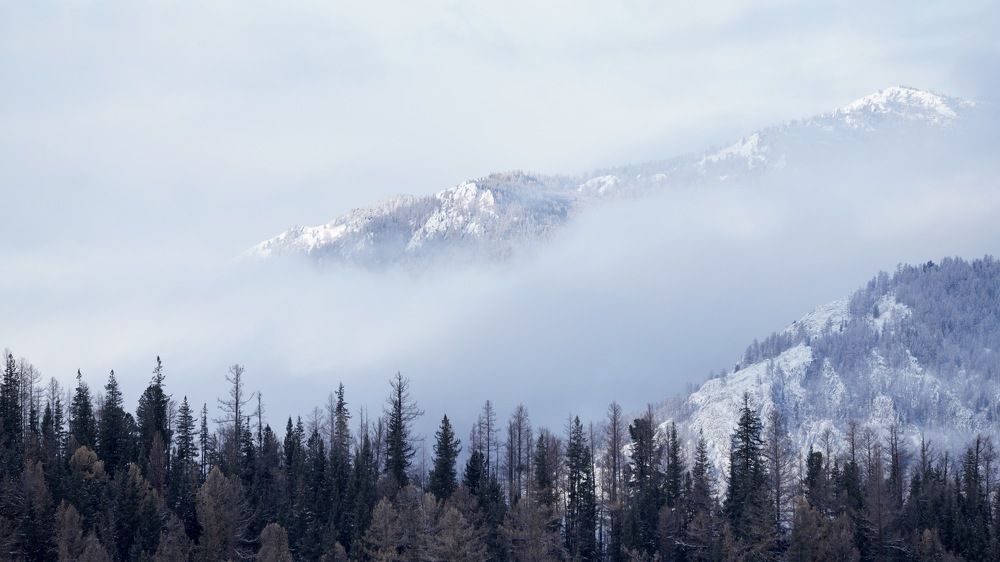 Photograph by Андрей Кузнецов