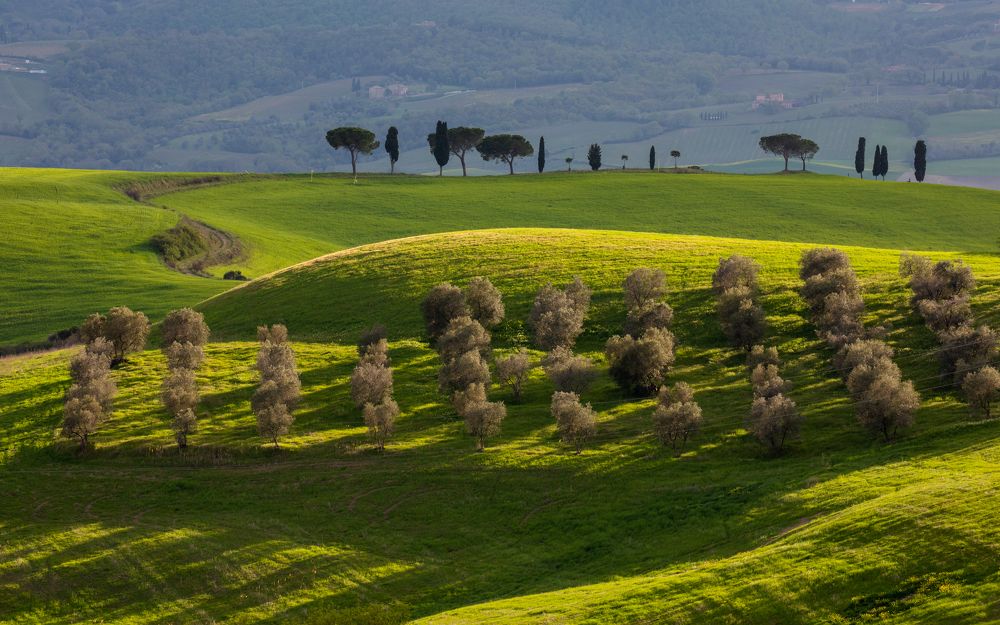 Photograph by Евгения Чех