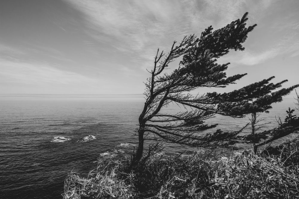 Photograph by Anna Turks