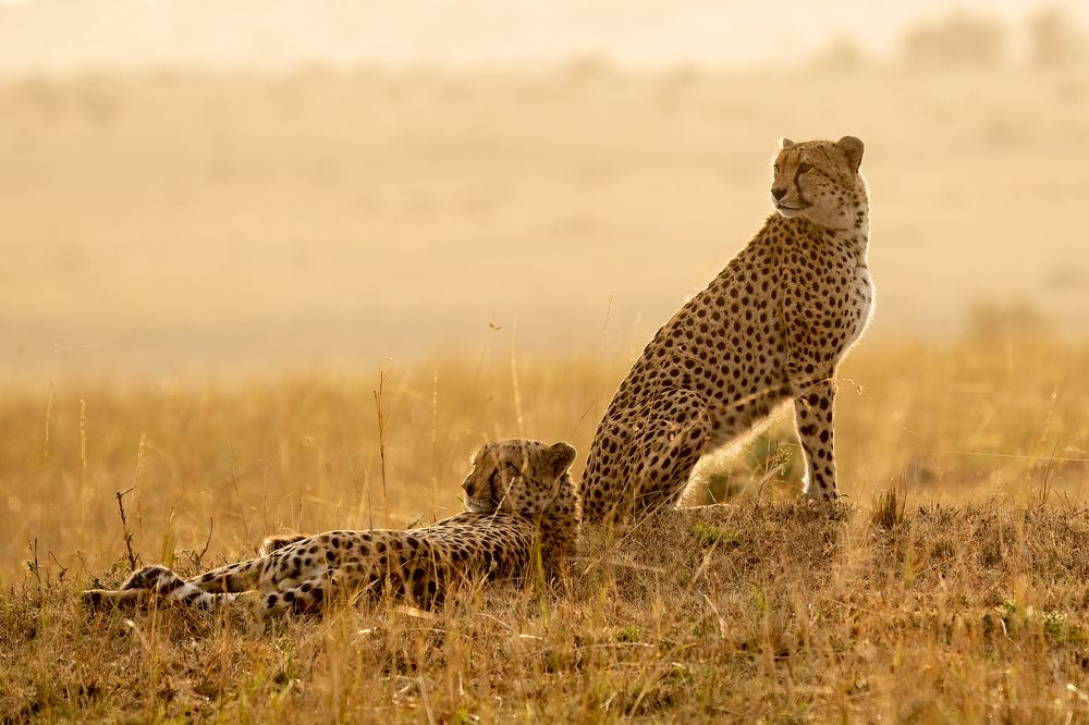 Photograph by Adrian Grigore