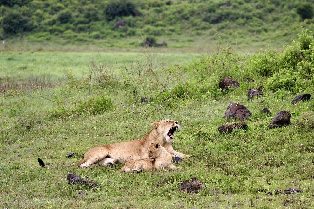 Photograph by Олег Банковский