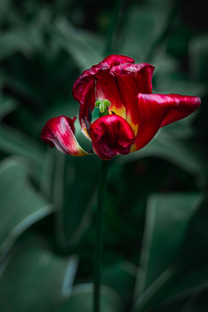 Photograph by Ольга