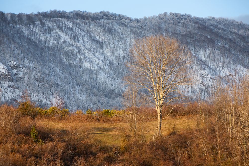 winter behind the hill