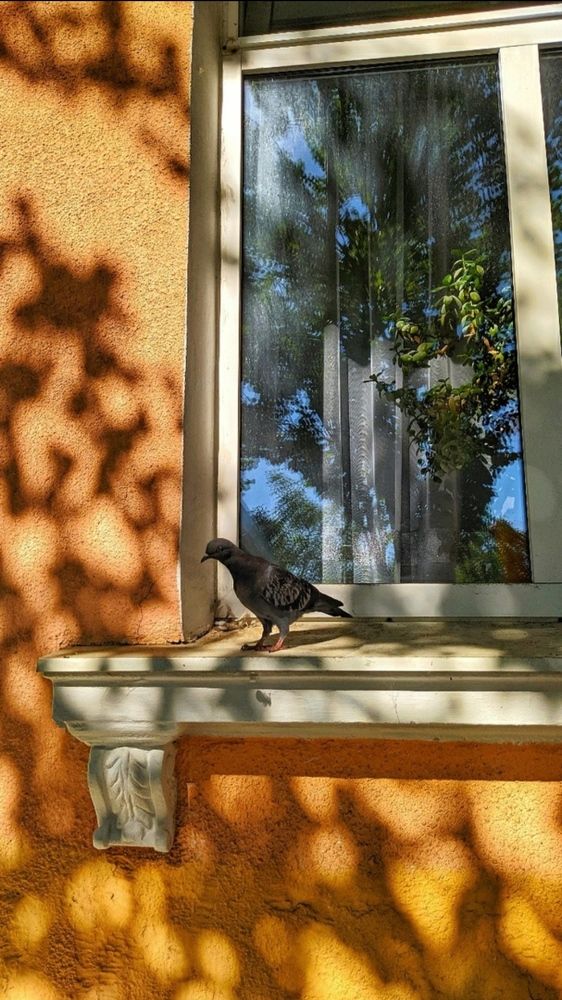 Фотография автора Наталья Синицына