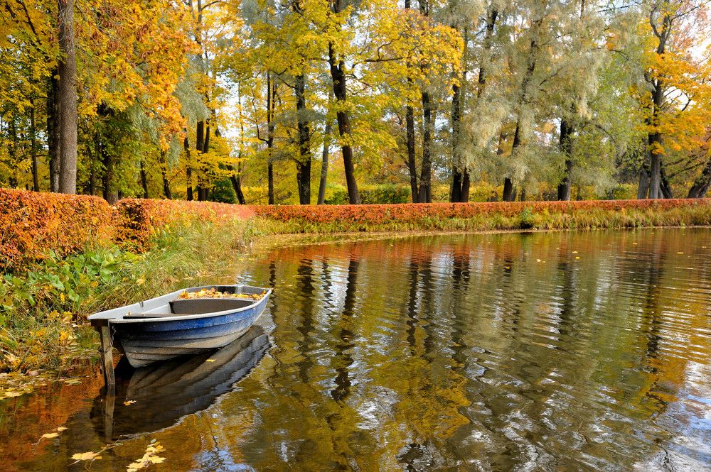 Осенний Петергоф...