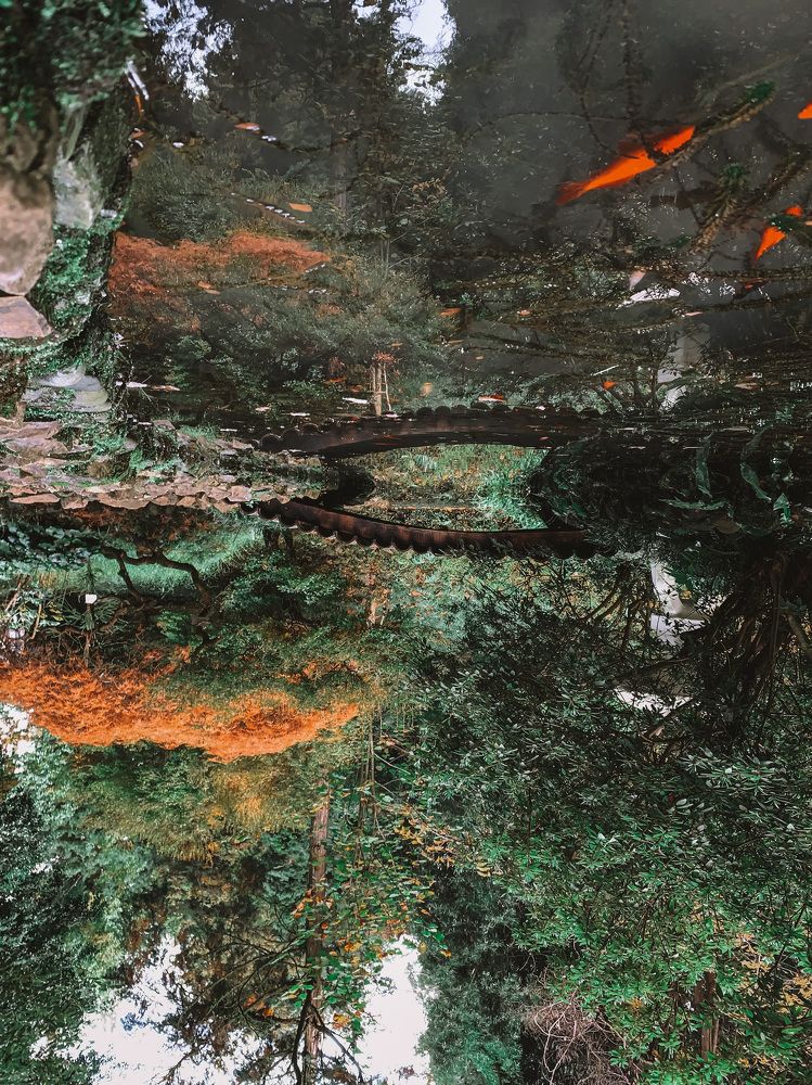 Photograph by Uliana Volegova