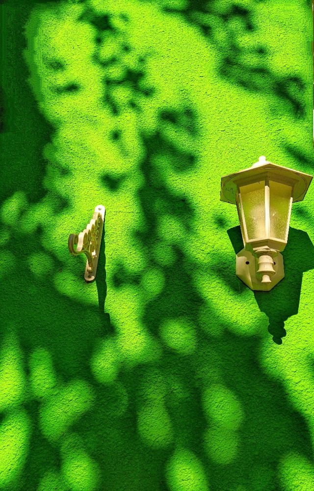 Фотография автора Наталья Синицына