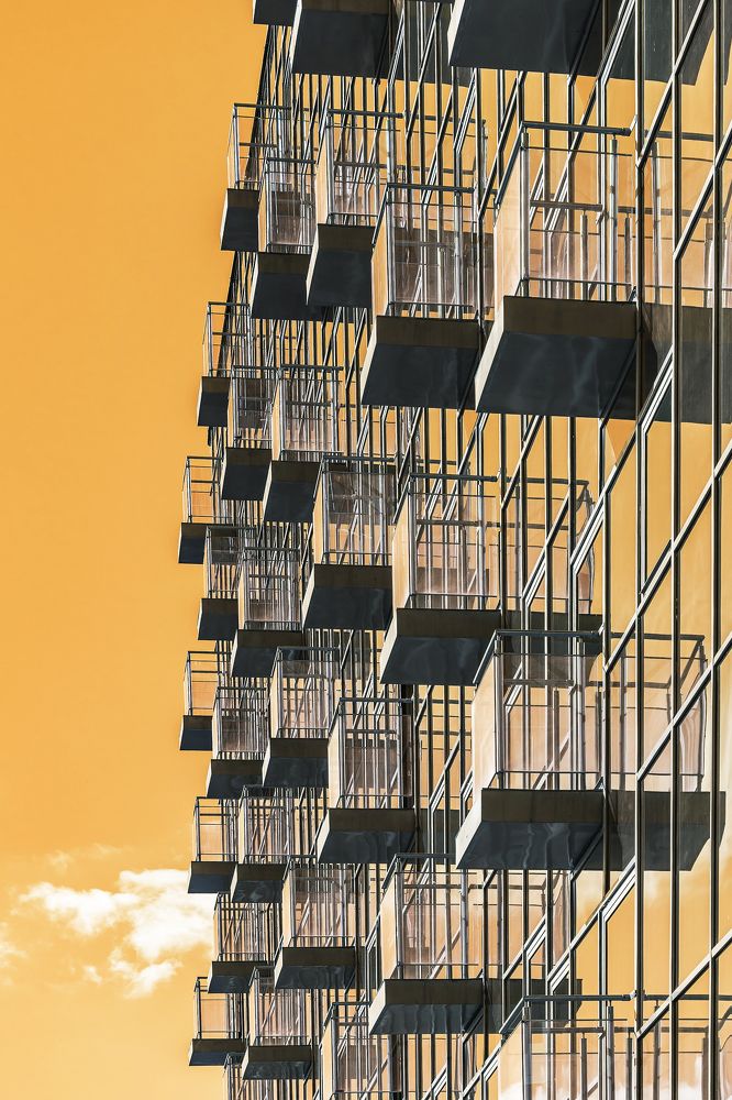 Photograph by Максим Сорокин