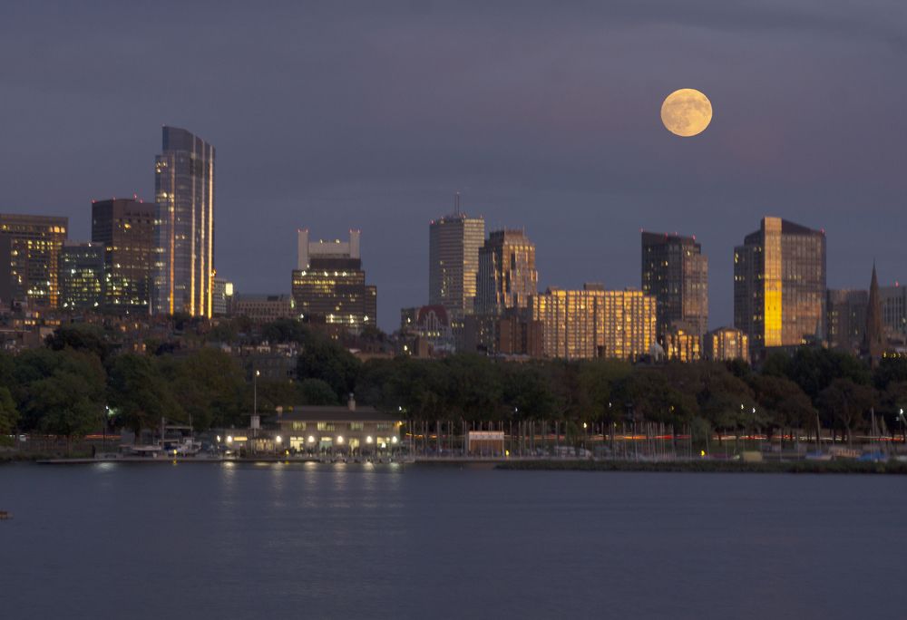 Photograph by Silvia Marcos