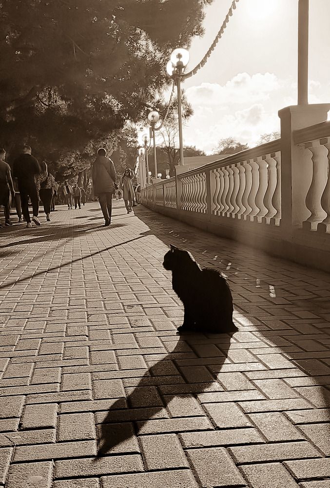 Photograph by Михаил Саидов