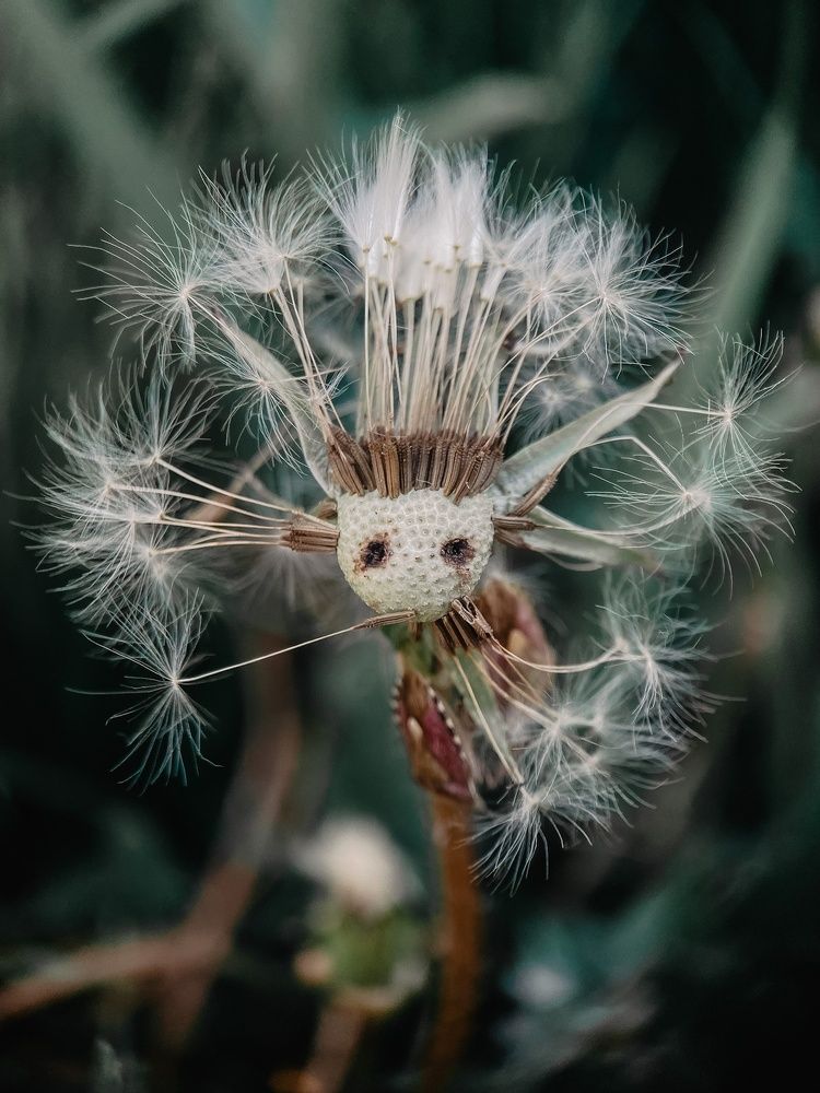 Photograph by Анна Бобкова