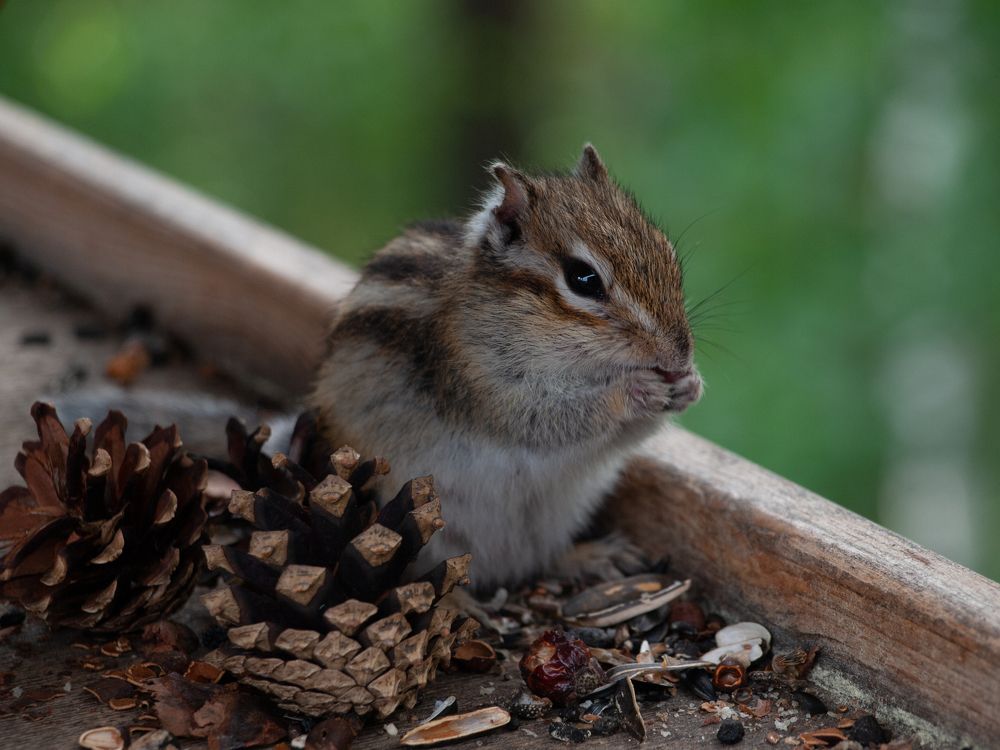 Photograph by Ольга
