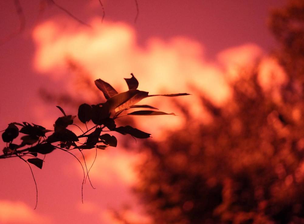 Photograph by Баженова Наталья