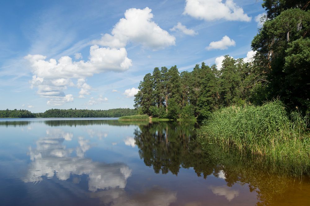 Photograph by Subway