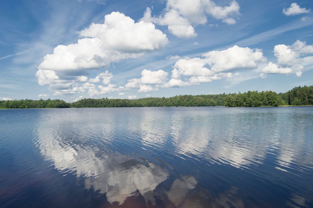 Photograph by Subway