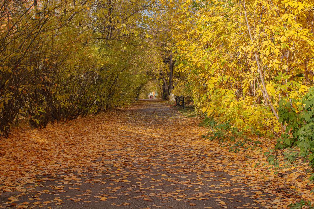 Фотография автора Евгения Снигирева