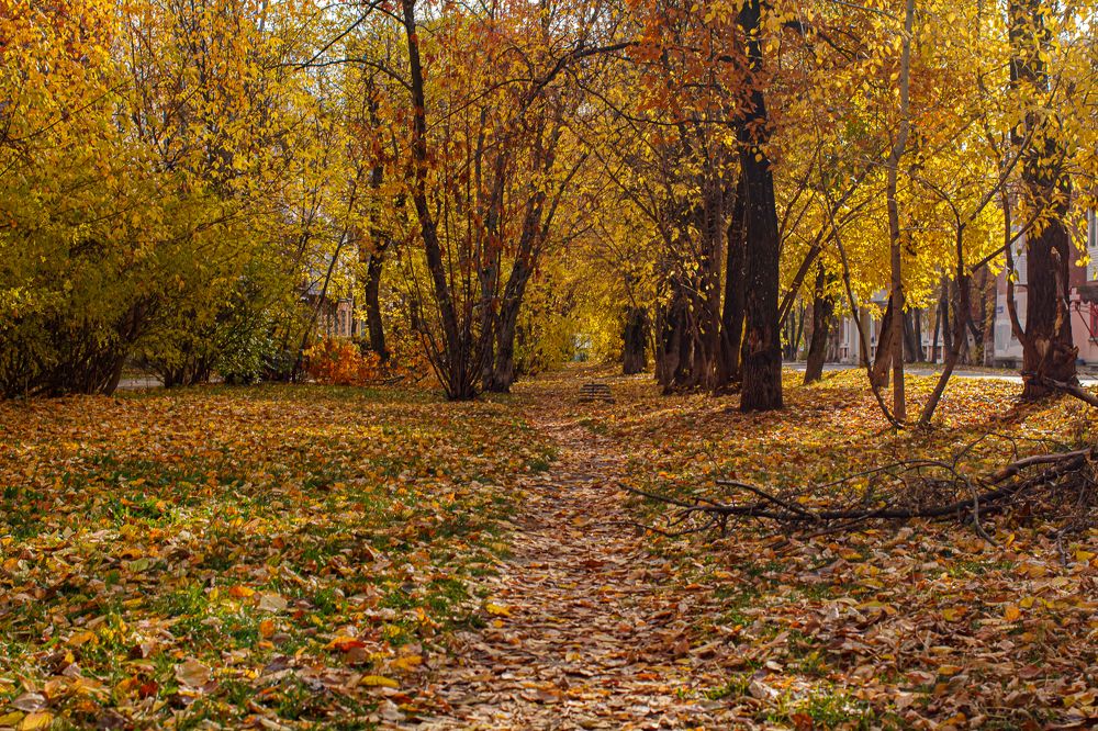 Фотография автора Евгения Снигирева