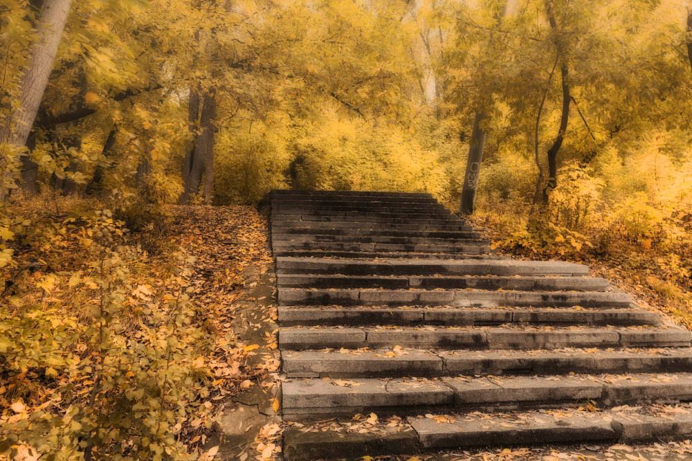 Лестница в осень