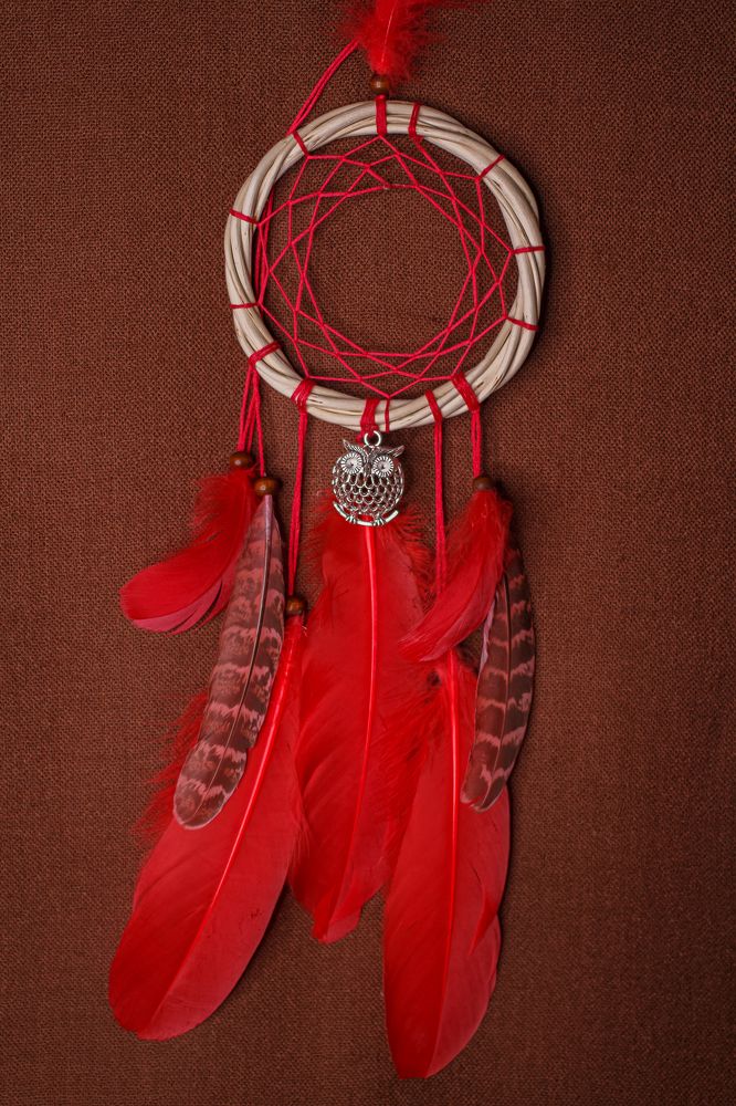 Фотография автора Евгения Снигирева