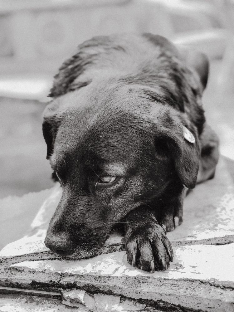Photograph by Данил Мелинг