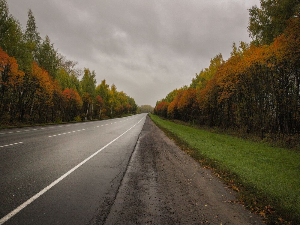 Photograph by Ольга