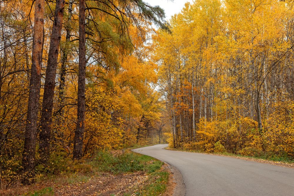 Photograph by Ирина Лапина