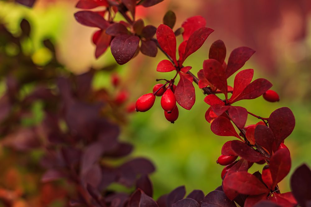 Фотография автора Евгения Снигирева