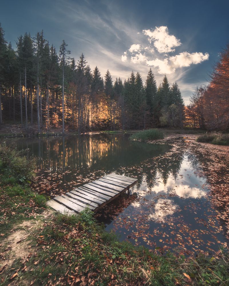 Фотография автора Lyuboslav Bochev