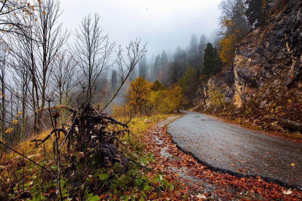 Photograph by Дарья Бухреева