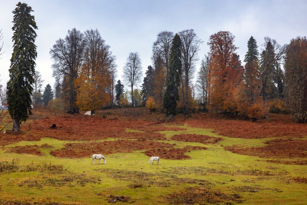 Photograph by Дарья Бухреева