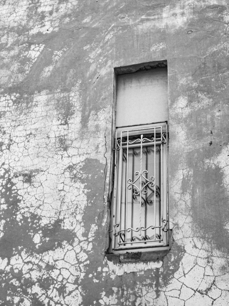 Photograph by Анастасия Хованская