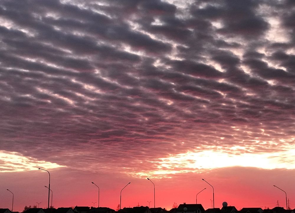 Photograph by Виктория Потапова