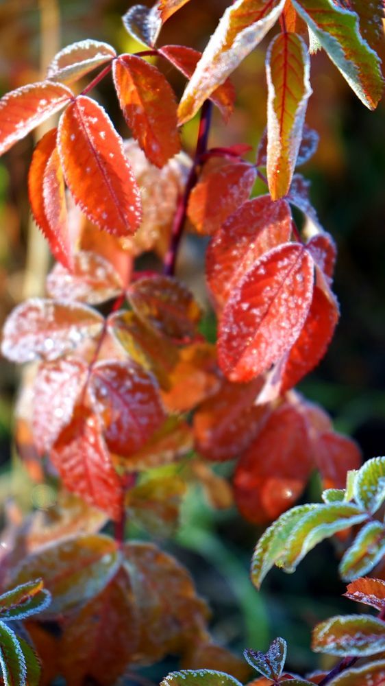 Photograph by АНДРЕЙ ОБРЯДОВ