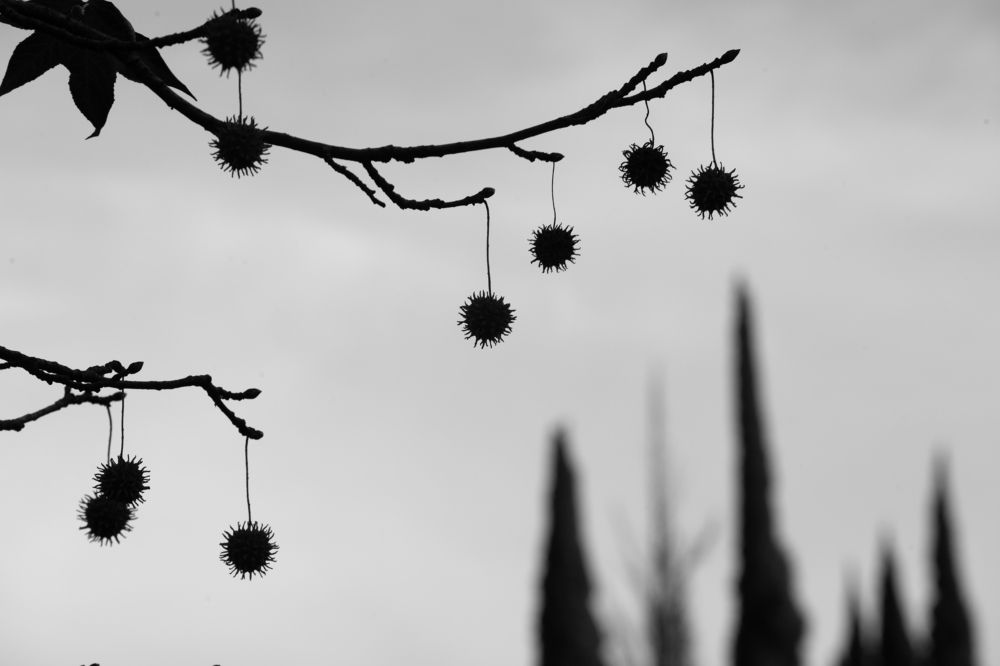 Фотография автора Naala Avidzba