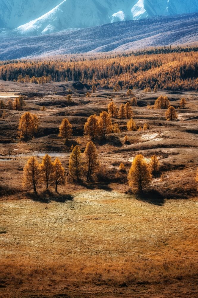 Photograph by Горизонт странника