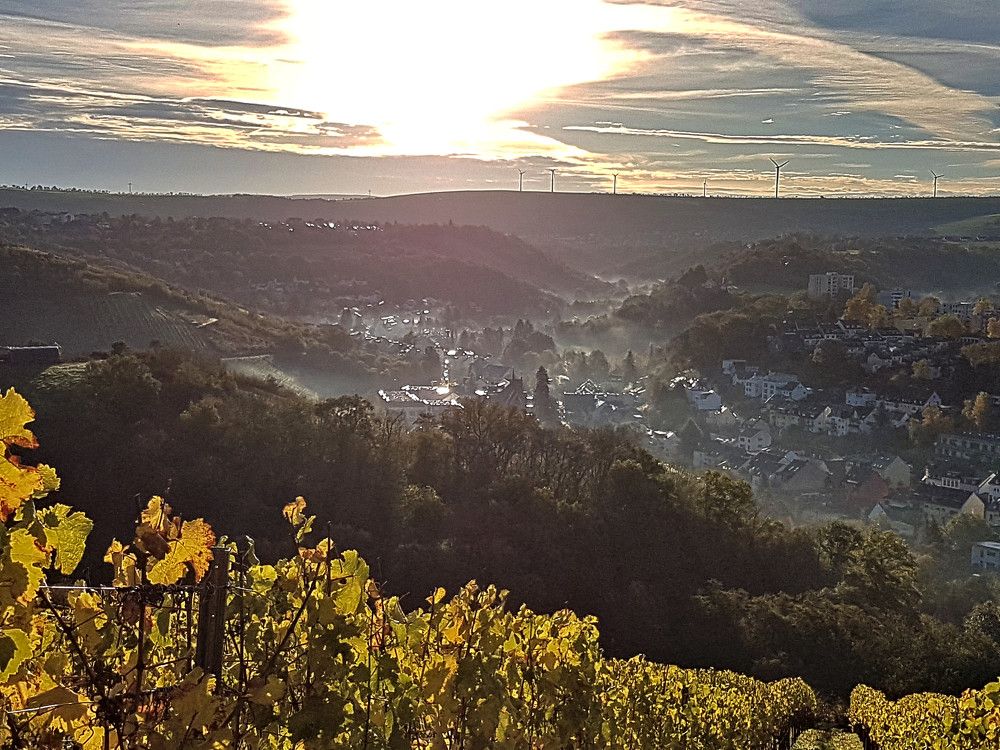 Photograph by Marina Weiland