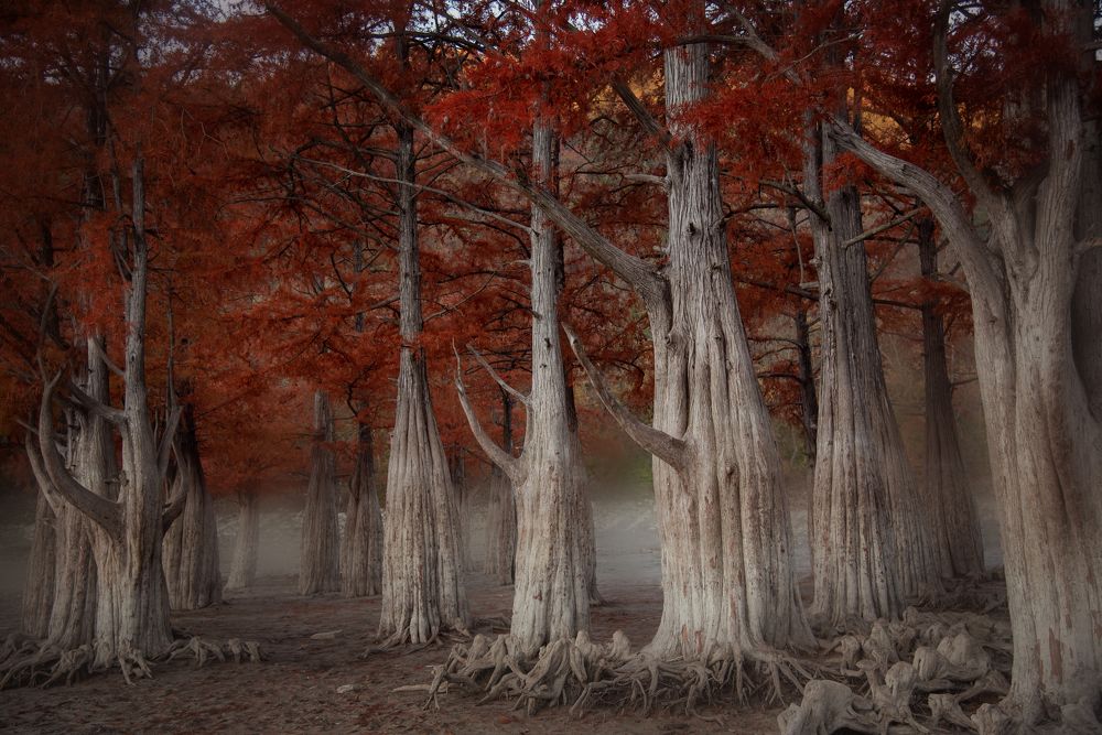 Photograph by Екатерина Рязанова