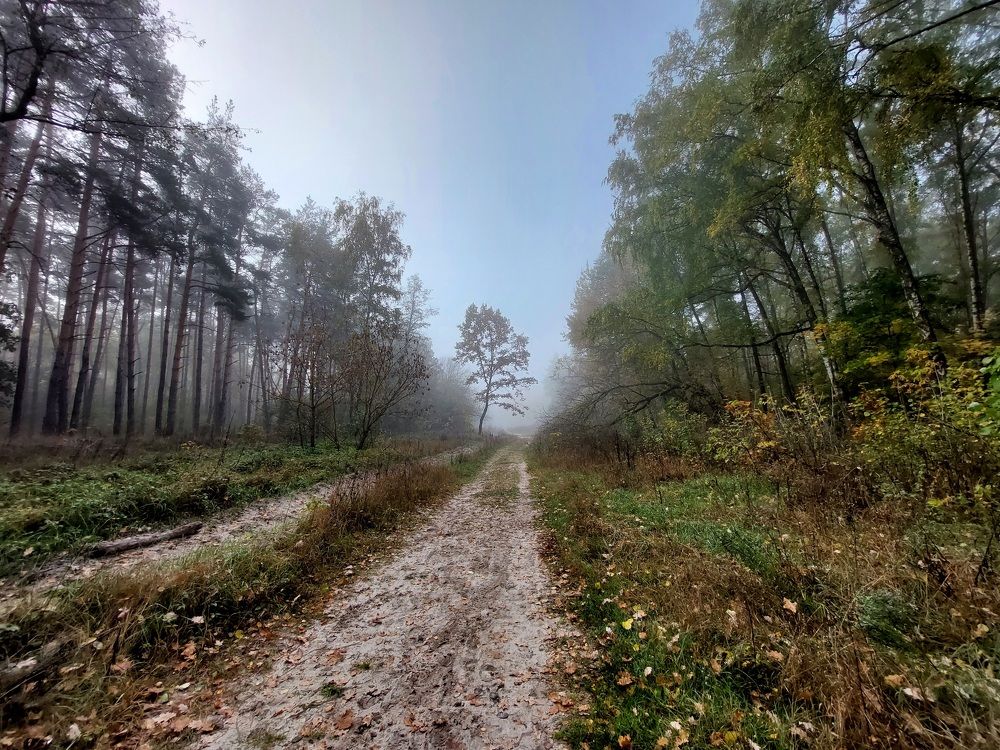 Photograph by Елена Владимировна Локтионова
