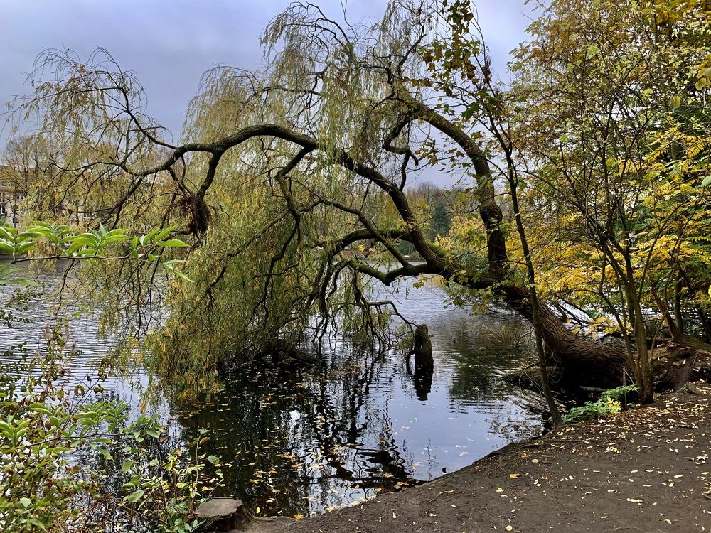 Photograph by Vasilisa Pokrovskaya