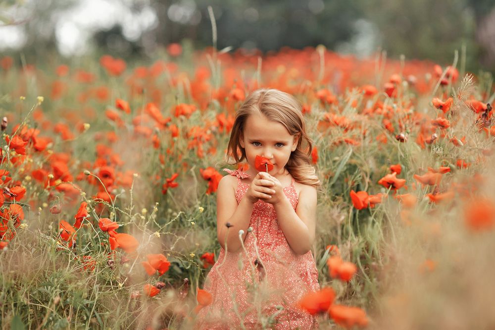 Фотография автора Анна Набатова