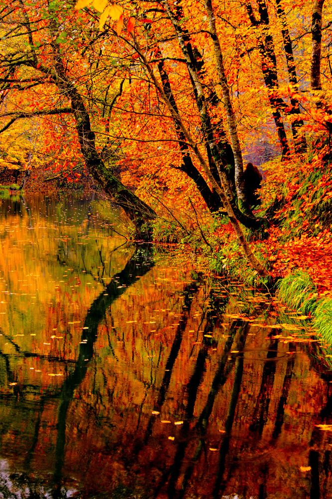 Photograph by Maruf Şinik