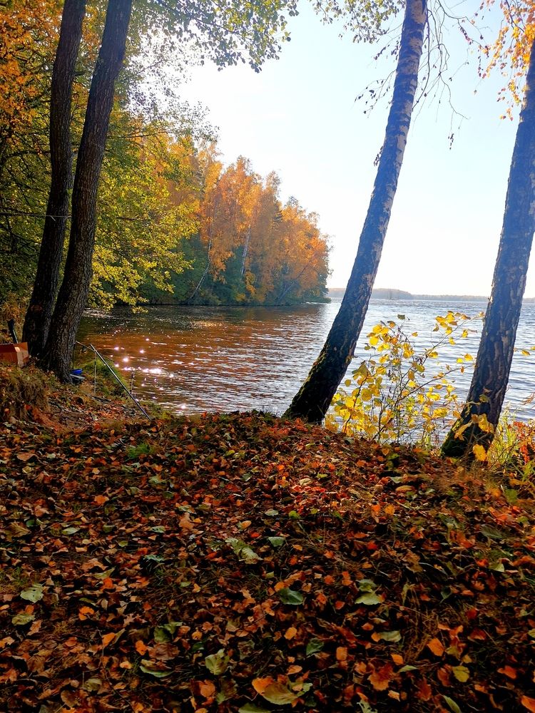 Photograph by Юрий Хортов