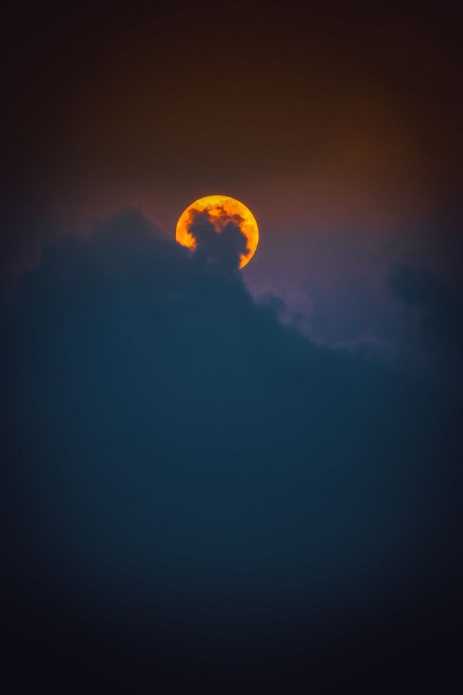 Фотография автора Ritesh Nayak