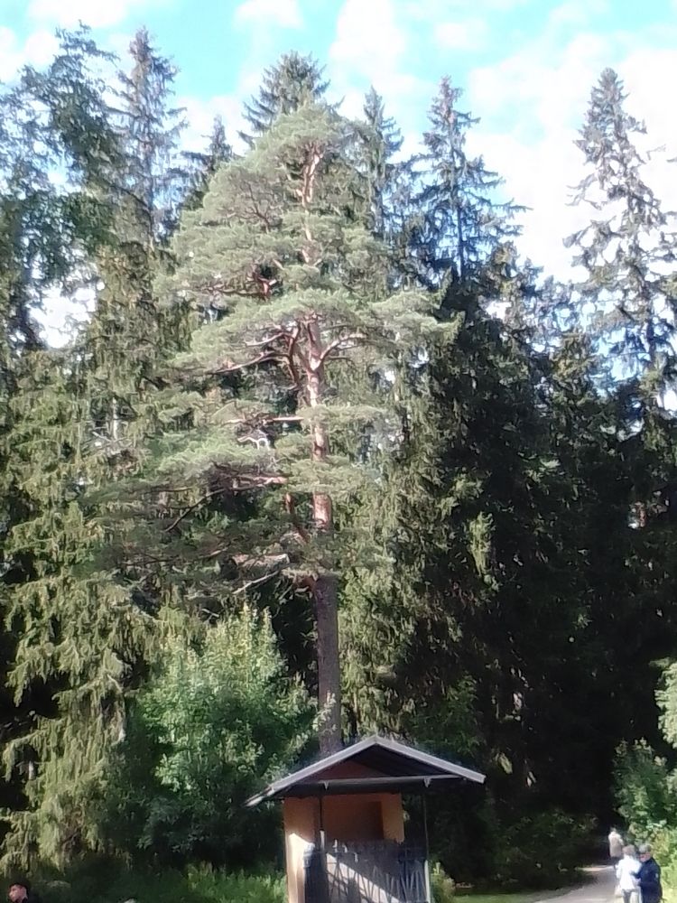 Photograph by Irina Mihailovskaya