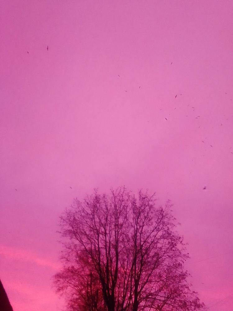 Photograph by Irina Mihailovskaya